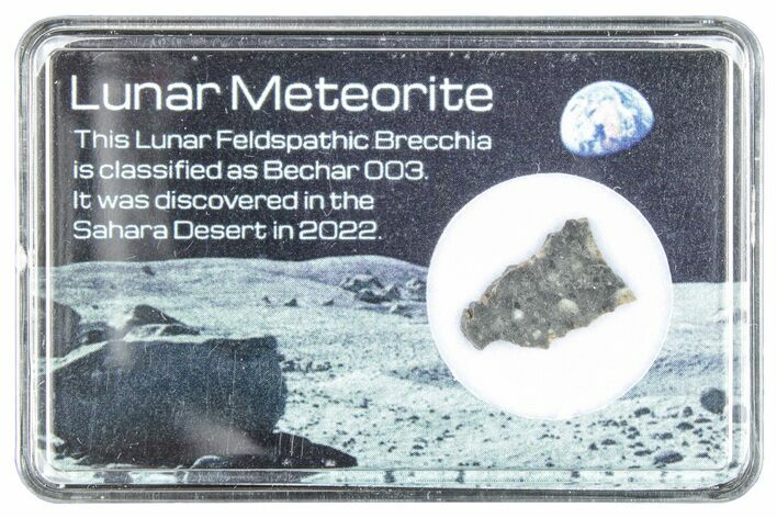 Polished Lunar Meteorite Slice ( g) - Bechar #288431